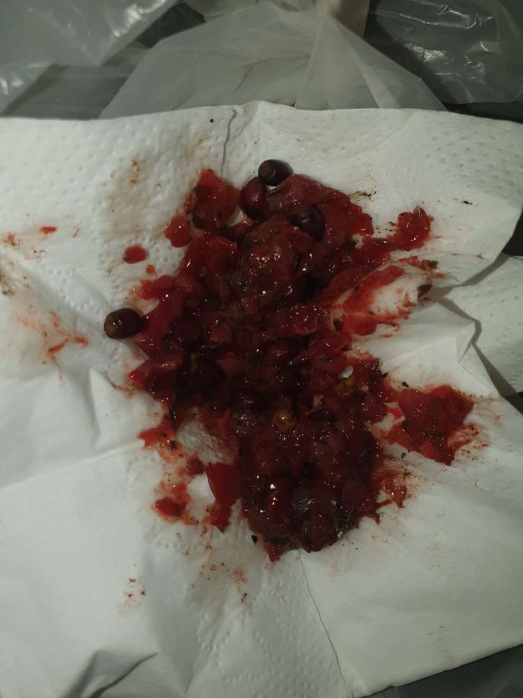 Giftköder-Giftköder-Profilbild