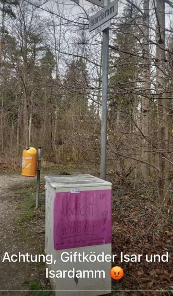 Giftköder-Giftköder am Isardamm und an der Isar-Profilbild