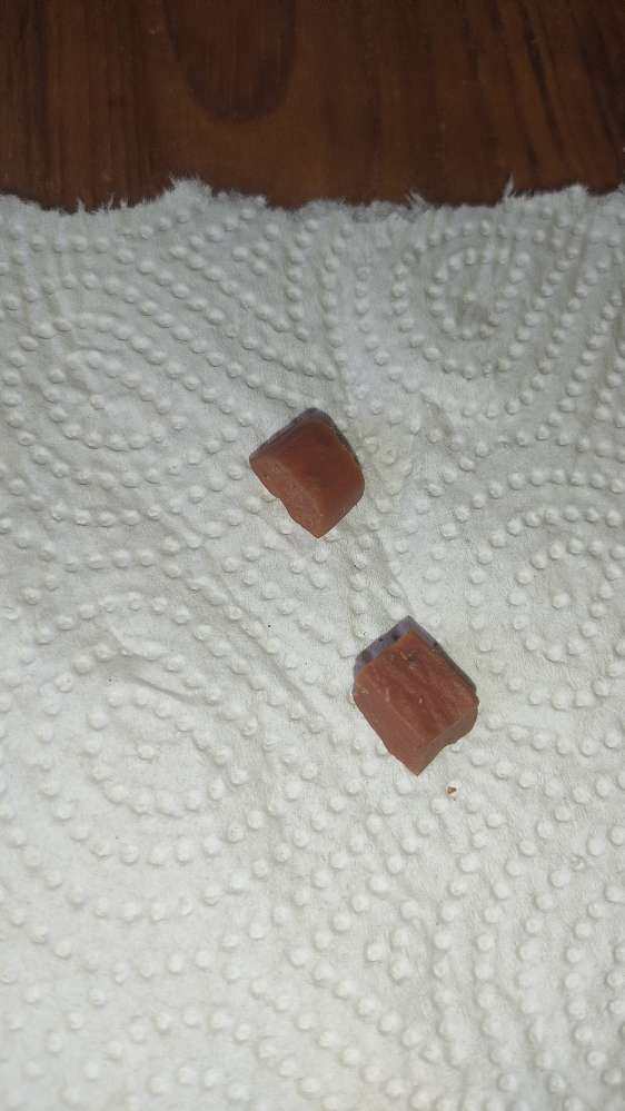 Giftköder-Möglicher Giftköder-Profilbild