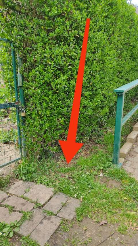 Giftköder-Möglicher Giftköder-Profilbild