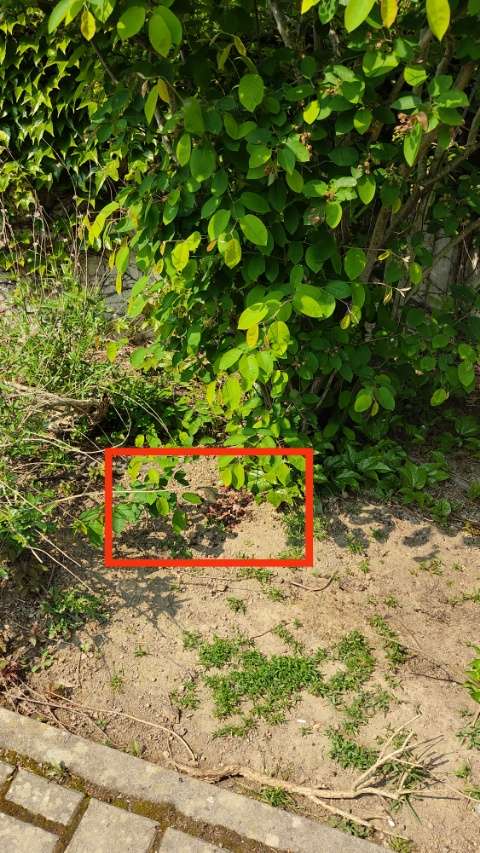 Giftköder-Möglicher Giftköder-Profilbild