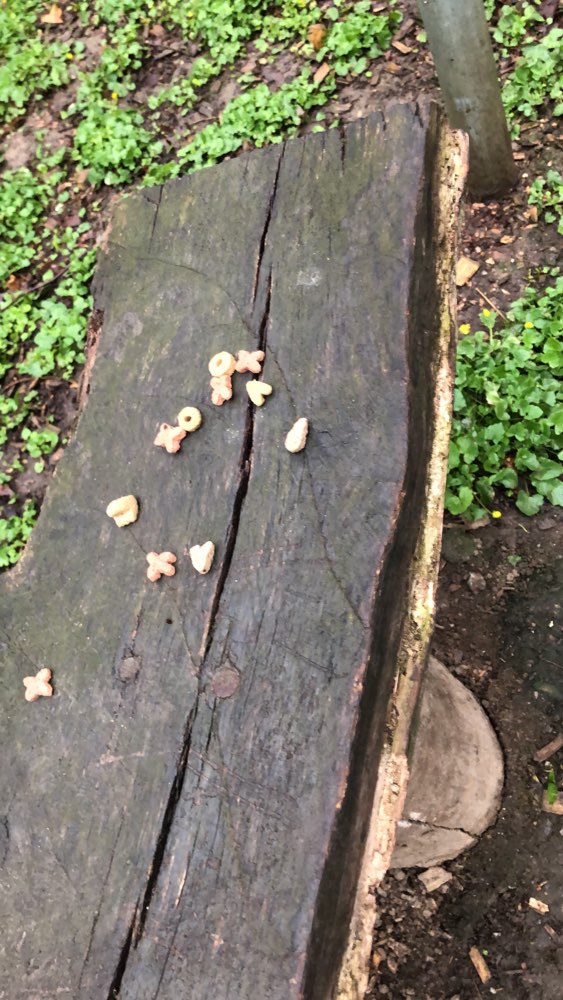 Giftköder-Auffälliges Trockenfutter in Häufchen-Profilbild