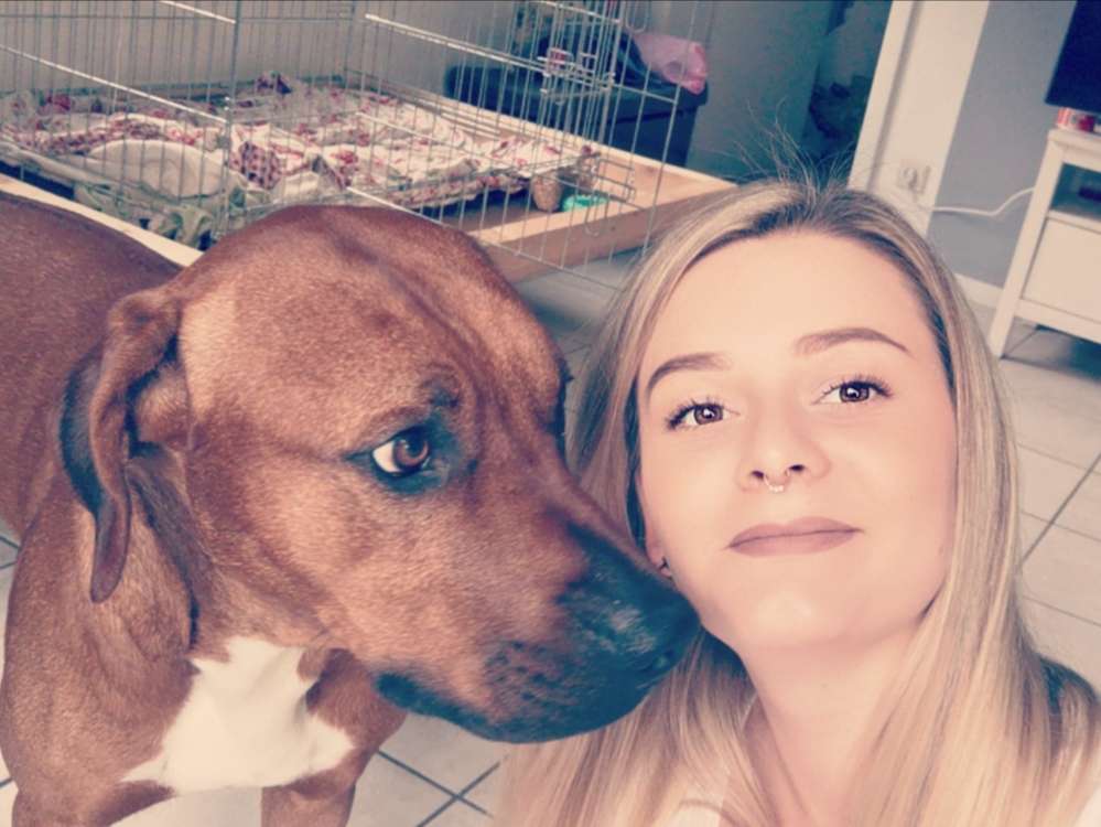 Hundetreffen-Spielen wie ein Löwenjäger-Profilbild