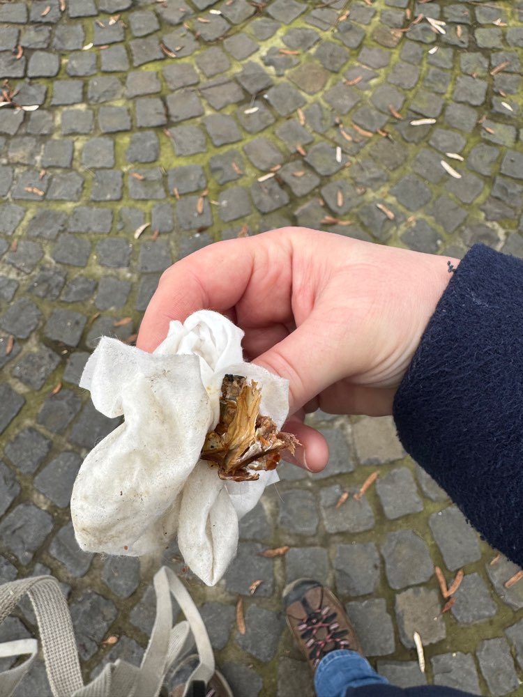 Giftköder-Geräucherter Fisch-Profilbild