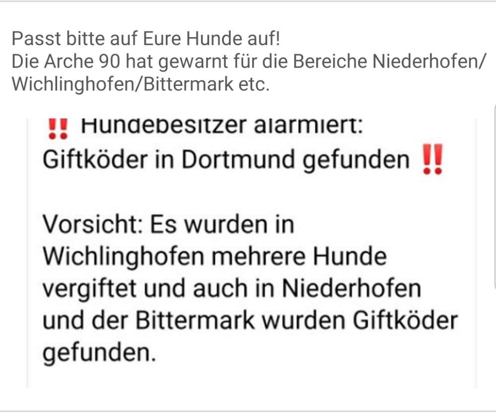 Giftköder-Giftköder-Profilbild