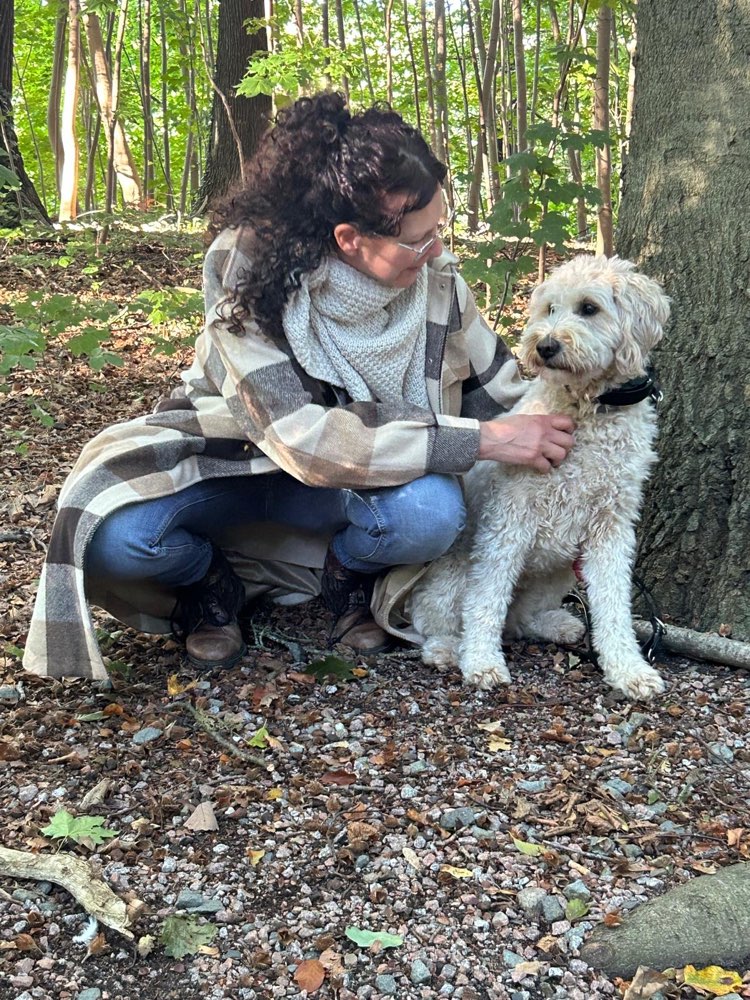 Hundetreffen-Doodletreffen Bergedorf-Profilbild