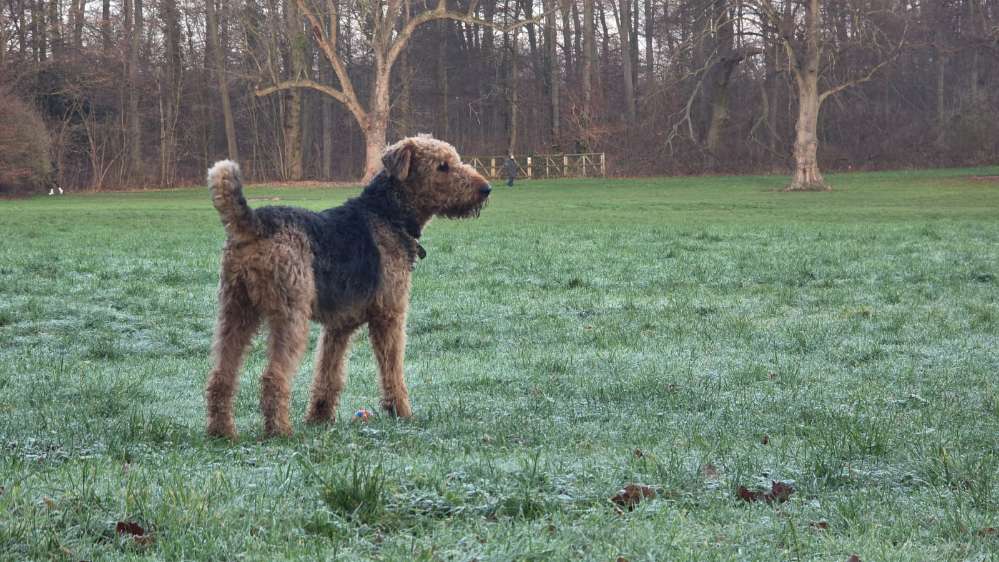 Suchmeldung-Vinci-Profilbild