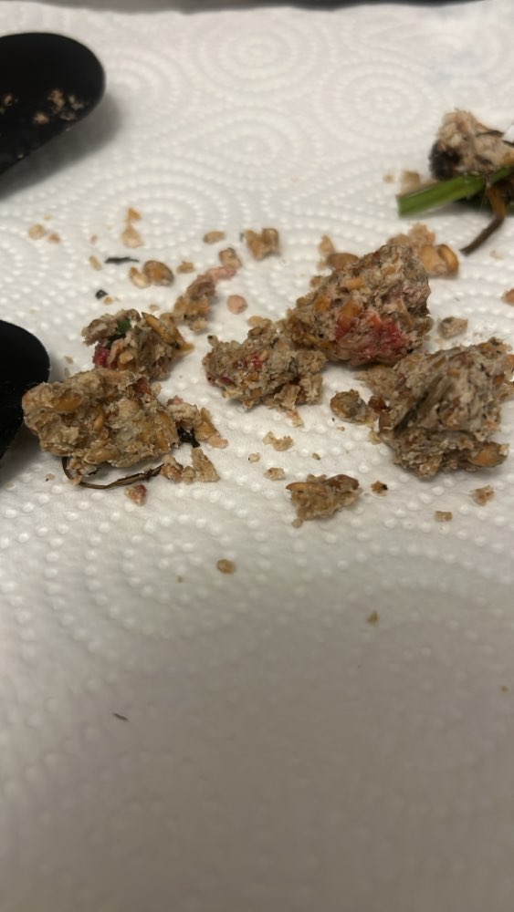 Giftköder-Wahrscheinlicher Giftköder-Profilbild