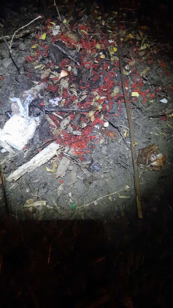 Giftköder-Rattengift-Profilbild