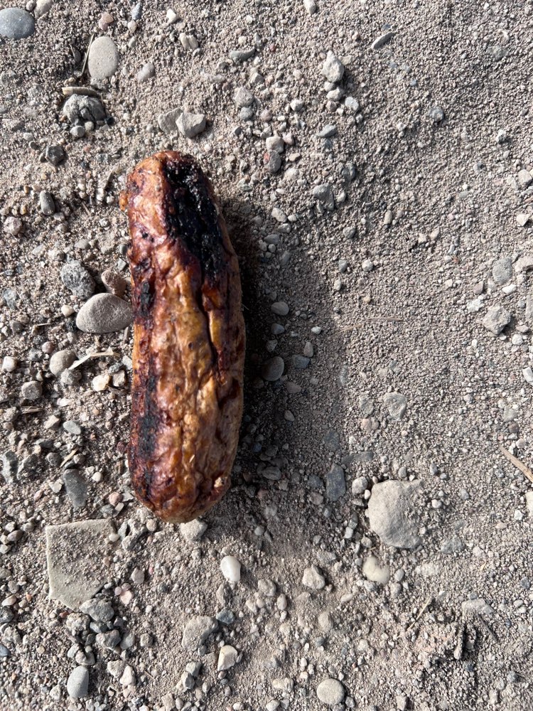 Giftköder-Möglicherweise Giftköder-Profilbild