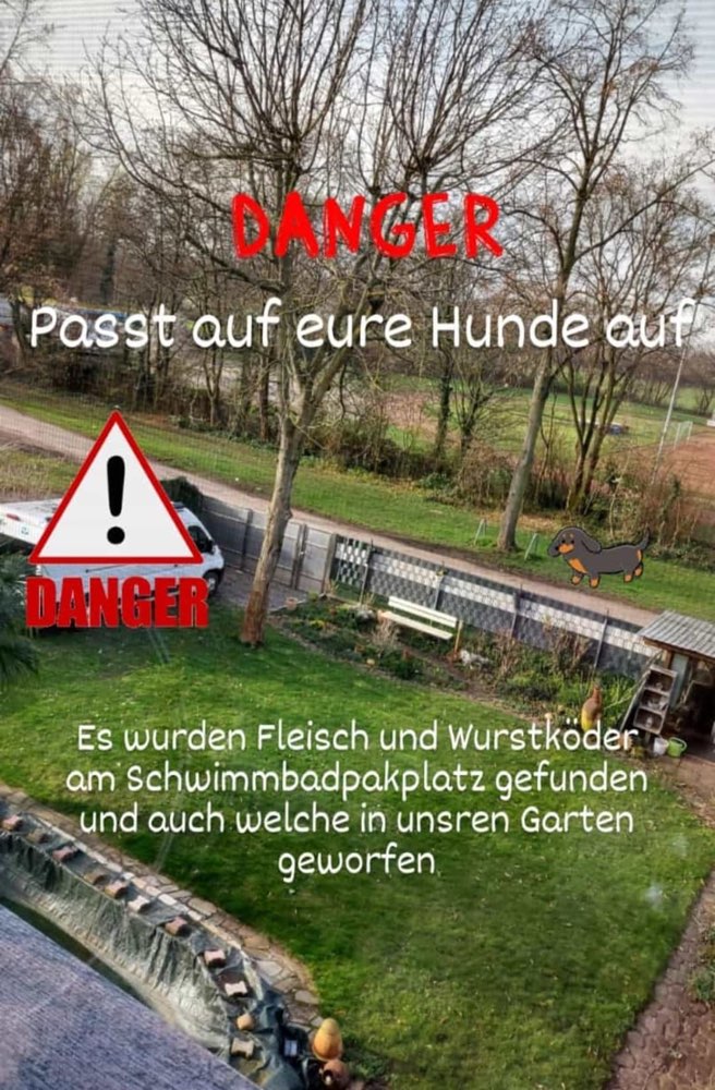 Giftköder-Fleisch und Wurststückchen-Profilbild