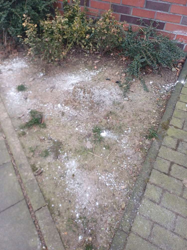 Giftköder-Weißes Pulver an Bäumen und Gebüsch-Profilbild