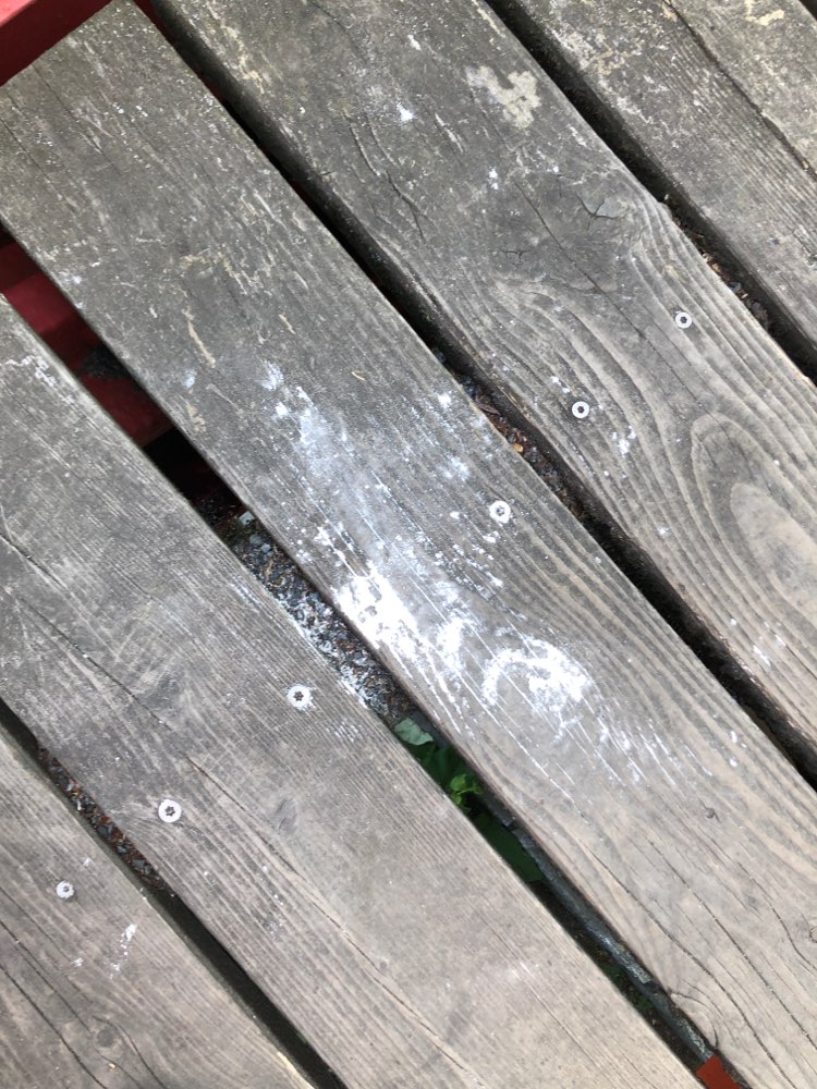 Giftköder-Weißes Pulver-Profilbild