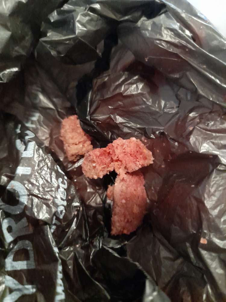 Giftköder-Ausgelegte Wurst-Profilbild