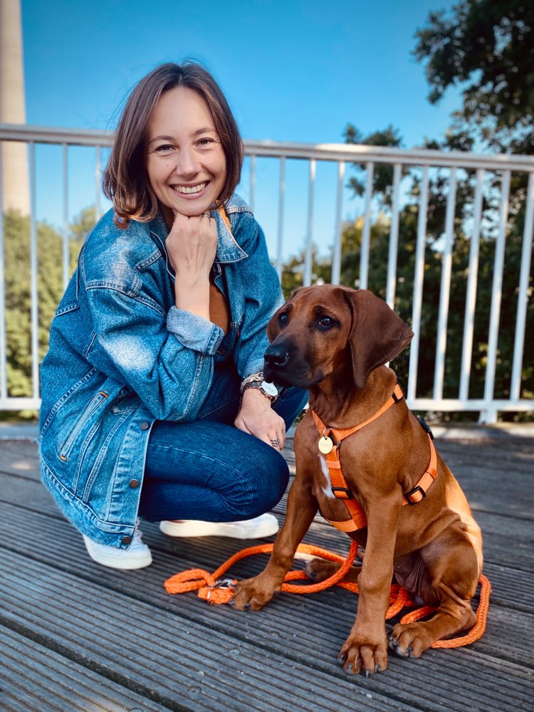 Hundetreffen-Gassi/Spielrunde für Welpen-Profilbild