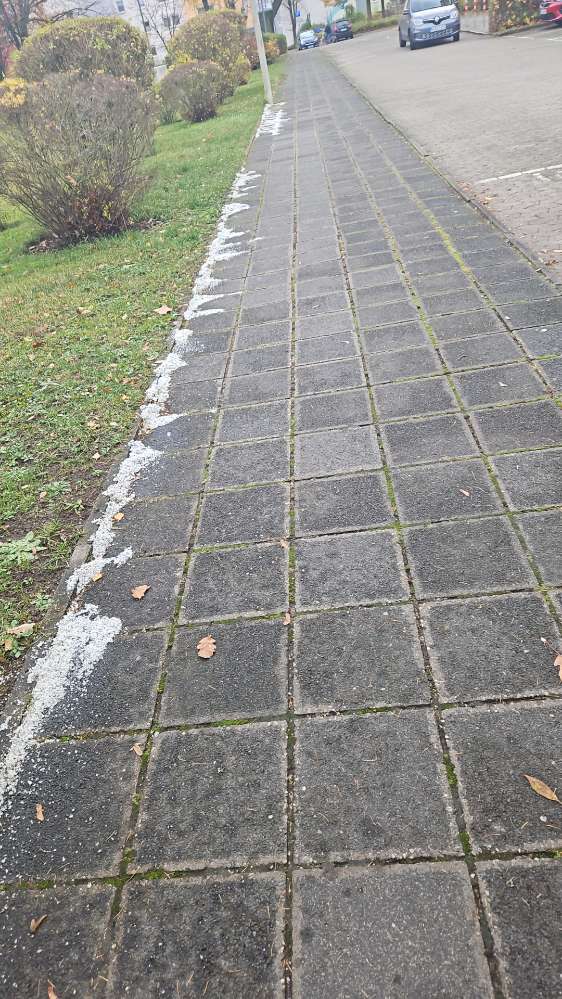 Giftköder-Komisch weiße Kristalle?Evtl Rattengift?-Profilbild