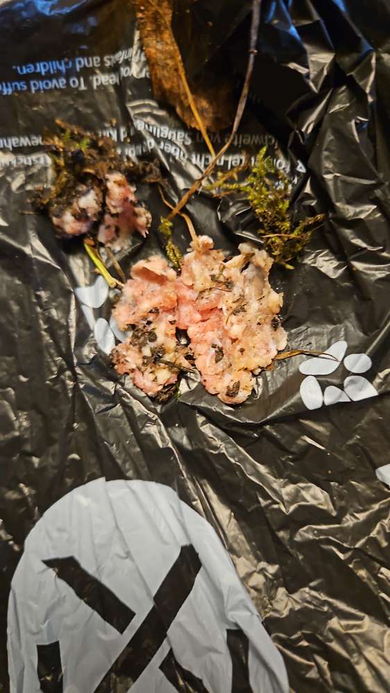 Giftköder-Hackfleisch-Profilbild