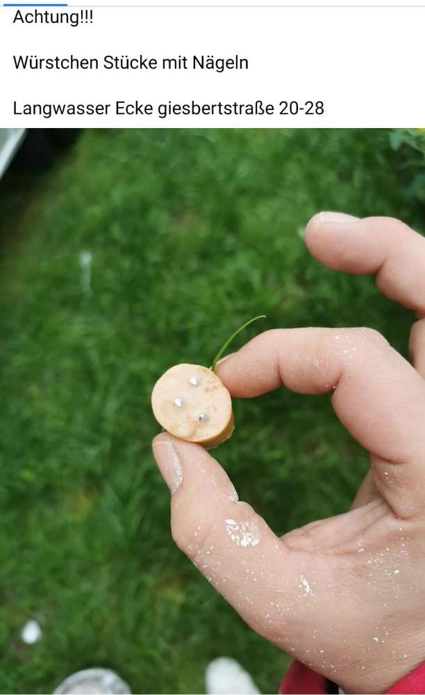 Giftköder-Würstchen mit Nägel-Profilbild