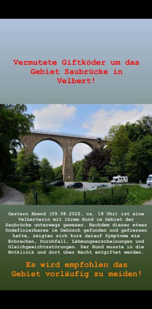 Giftköder-Vermutlich Giftköder an der Saubrücke-Profilbild