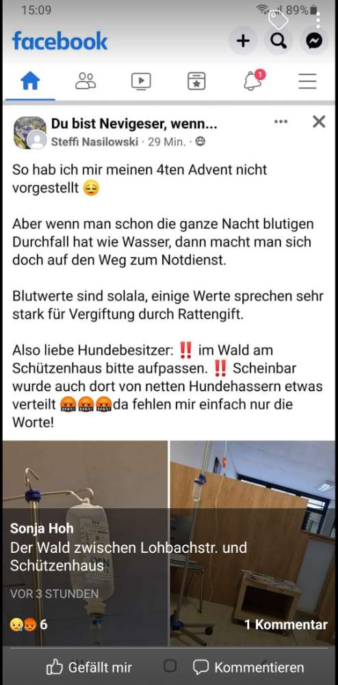 Giftköder-Giftköder-Profilbild