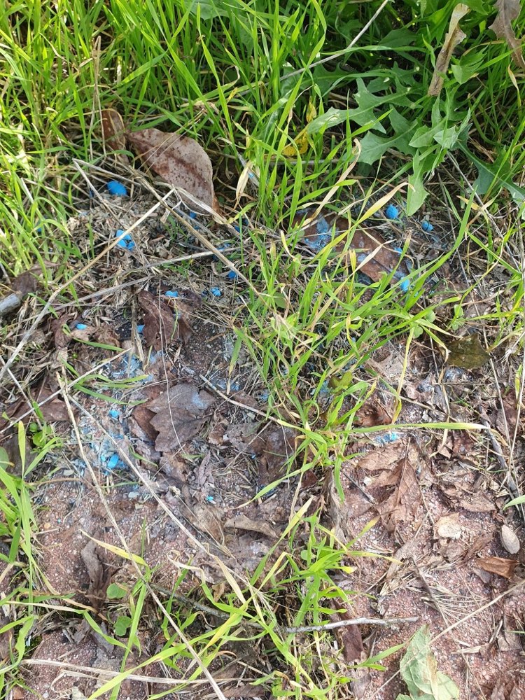 Giftköder-Giftköder-Profilbild