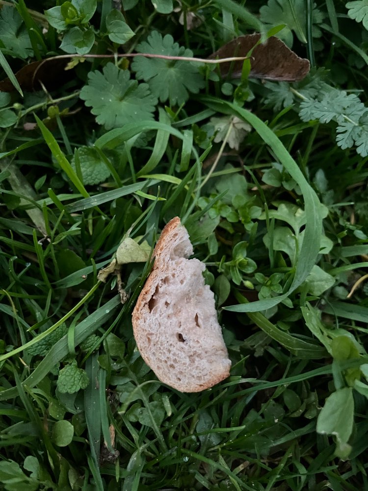 Giftköder-Brot am Friedhofstor-Profilbild