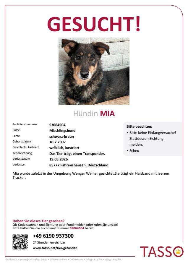 Suchmeldung-Mia-Profilbild