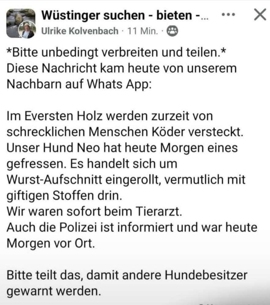 Giftköder-Giftköder-Profilbild