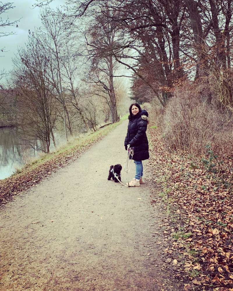 Hundetreffen-Bolonka Zwetna Minihunde-Profilbild