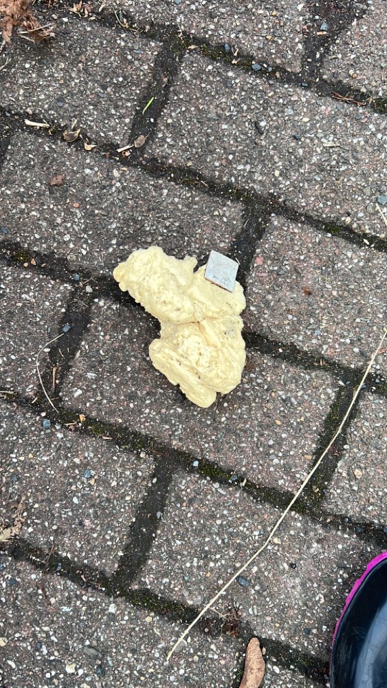 Giftköder-Vermutlich Giftköder-Profilbild