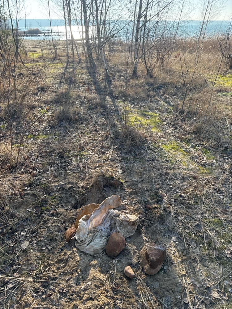 Giftköder-Laken mit "Inhalt"-Profilbild