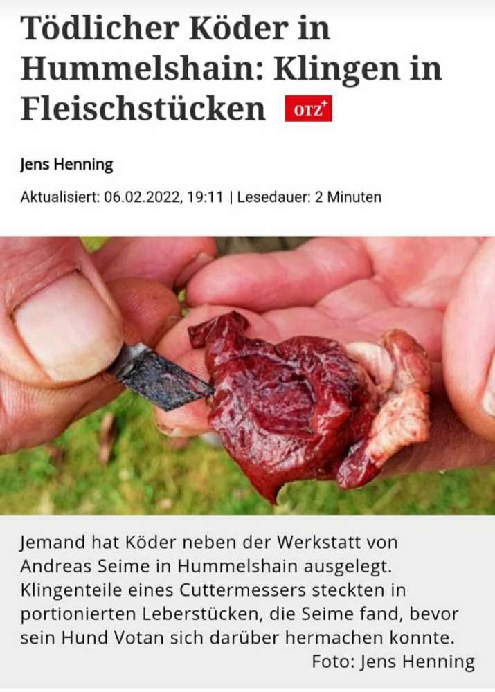 Giftköder-Köder mit Klingen-Profilbild