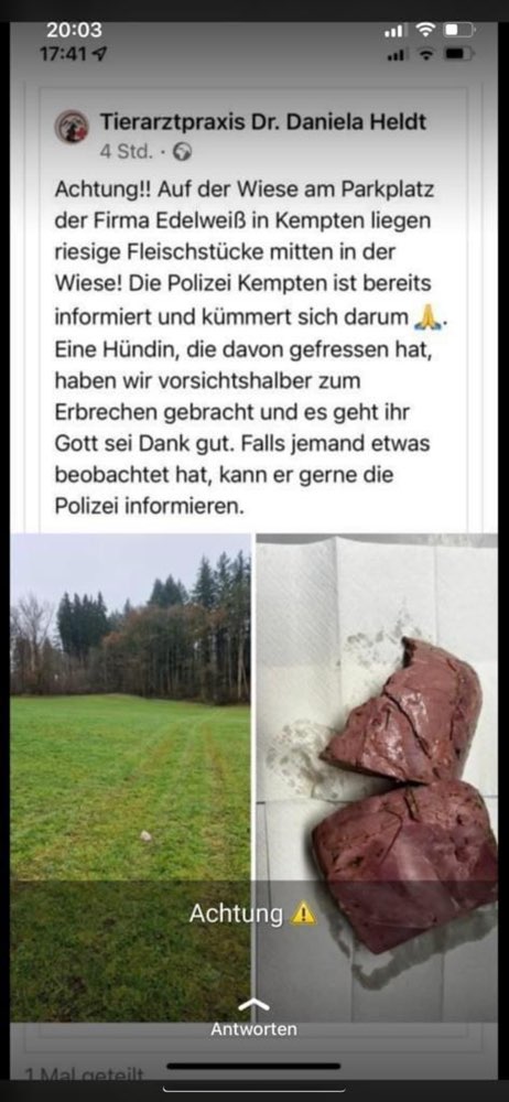 Giftköder-Fleischstücke-Profilbild