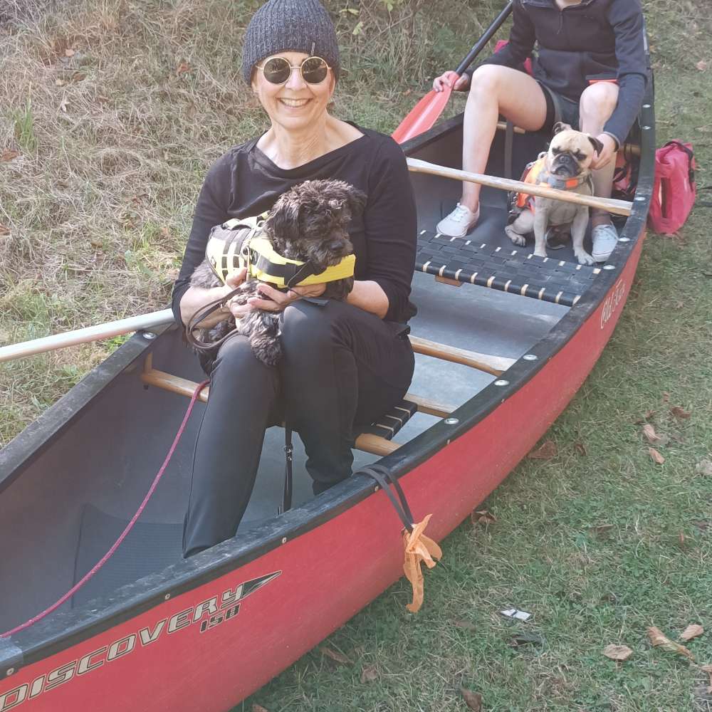 Hundetreffen-Hunde-Lauf-Profilbild