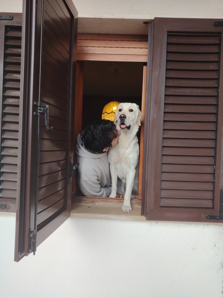 Hundetreffen-Marsiglia sucht neue Freunde-Profilbild