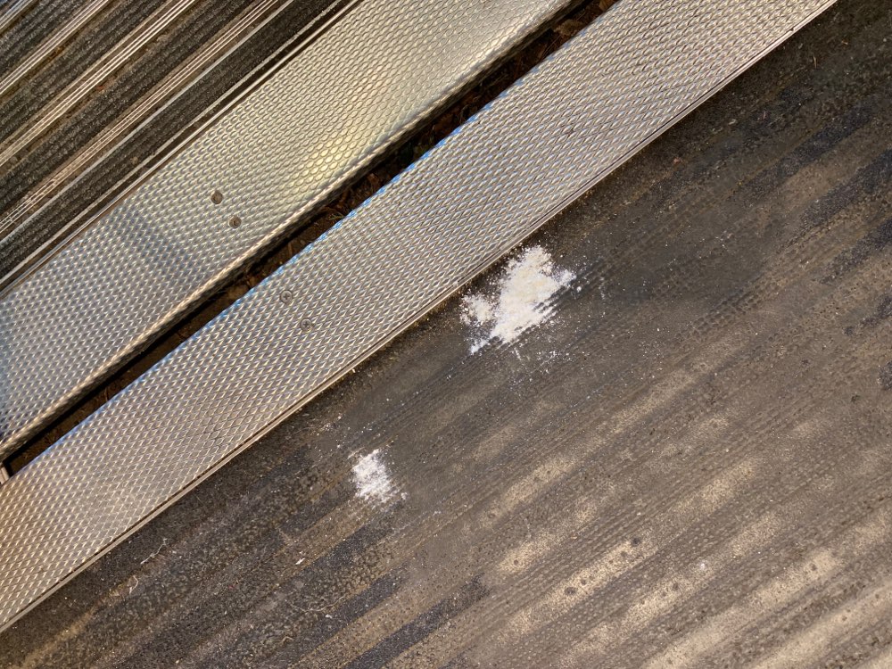 Giftköder-Futterhaus Hermanplatz W-Pulver-Profilbild