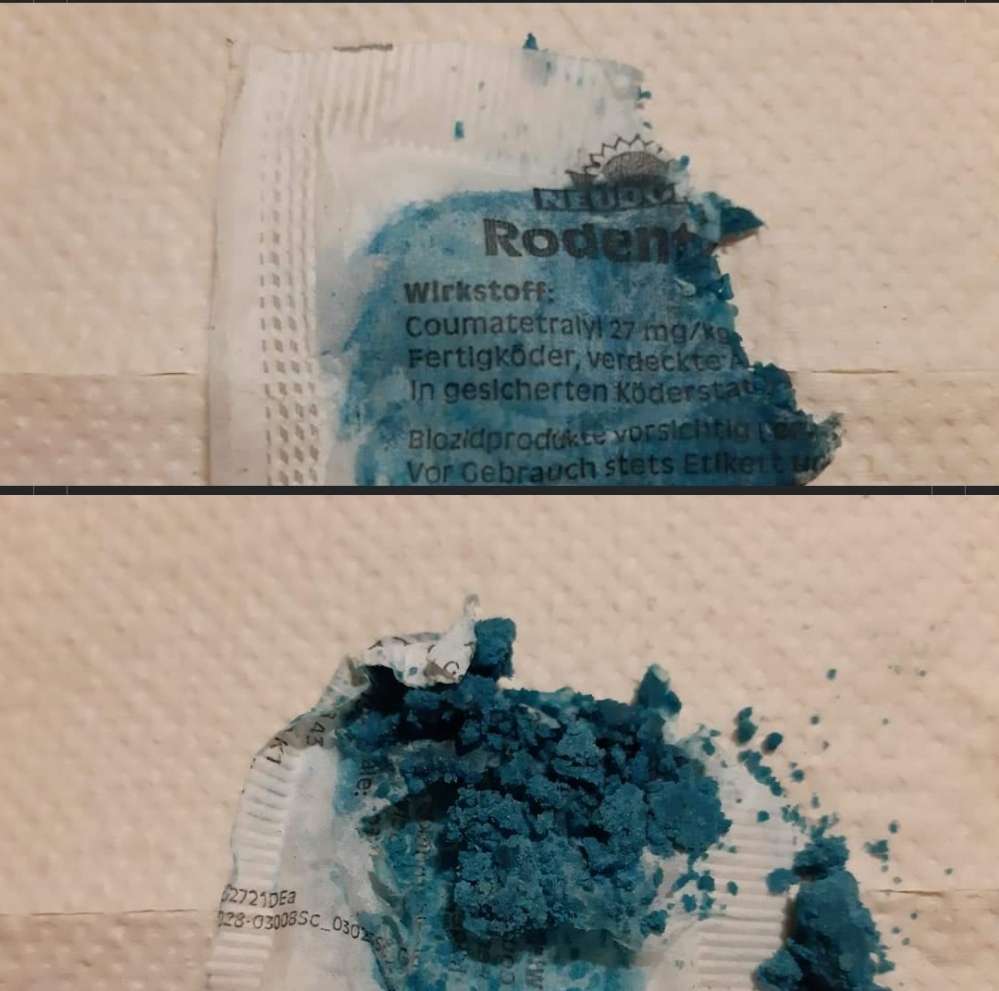 Giftköder-Giftköder-Profilbild