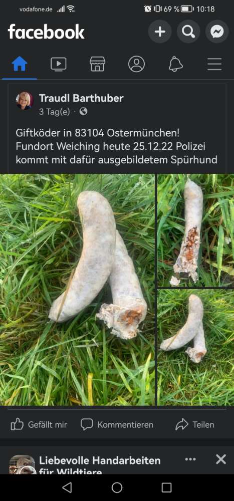 Giftköder-GIFTKÖDER-Profilbild