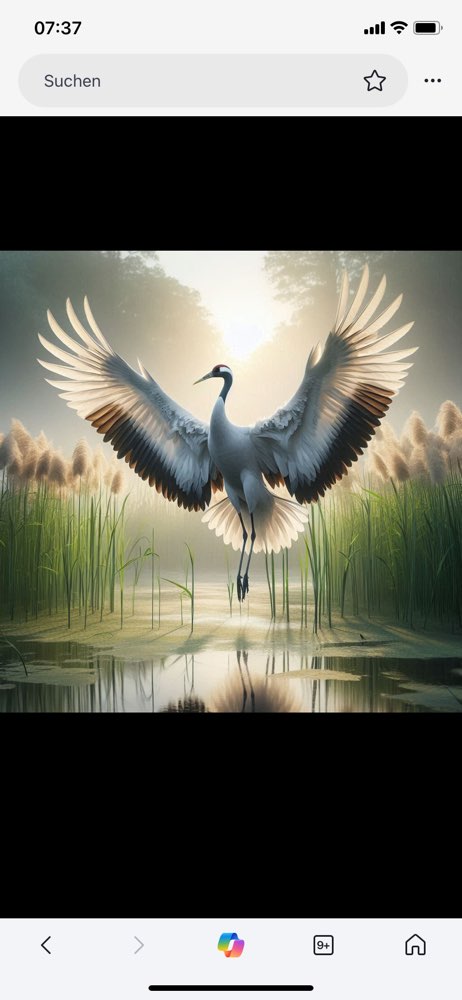 25. KI Wettbewerb „andere Tiere“ Banner