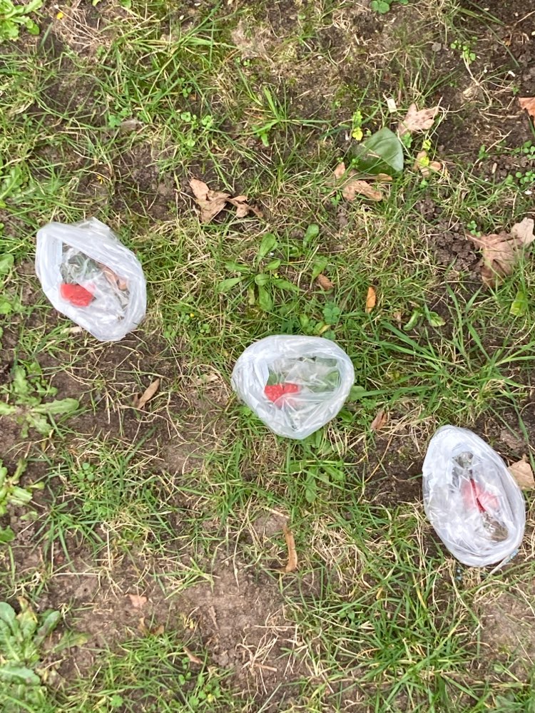 Giftköder-Rohfleisch-Profilbild