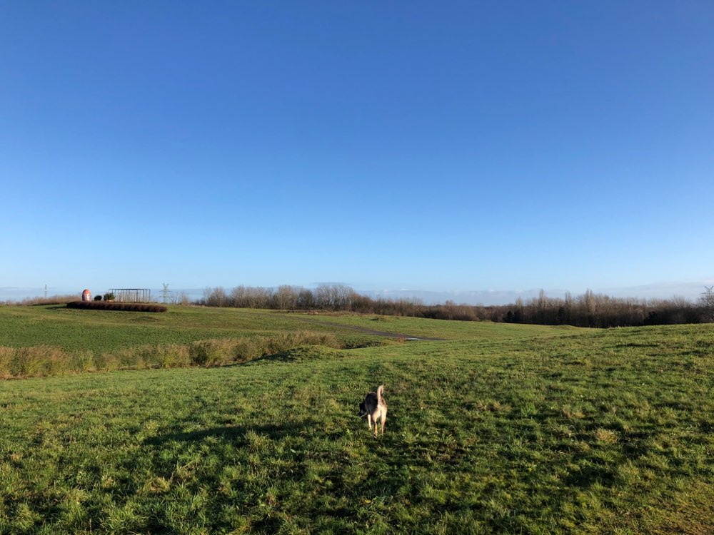 Osternburger Utkiek Hundeauslaufgebiet in Oldenburg Dogorama App