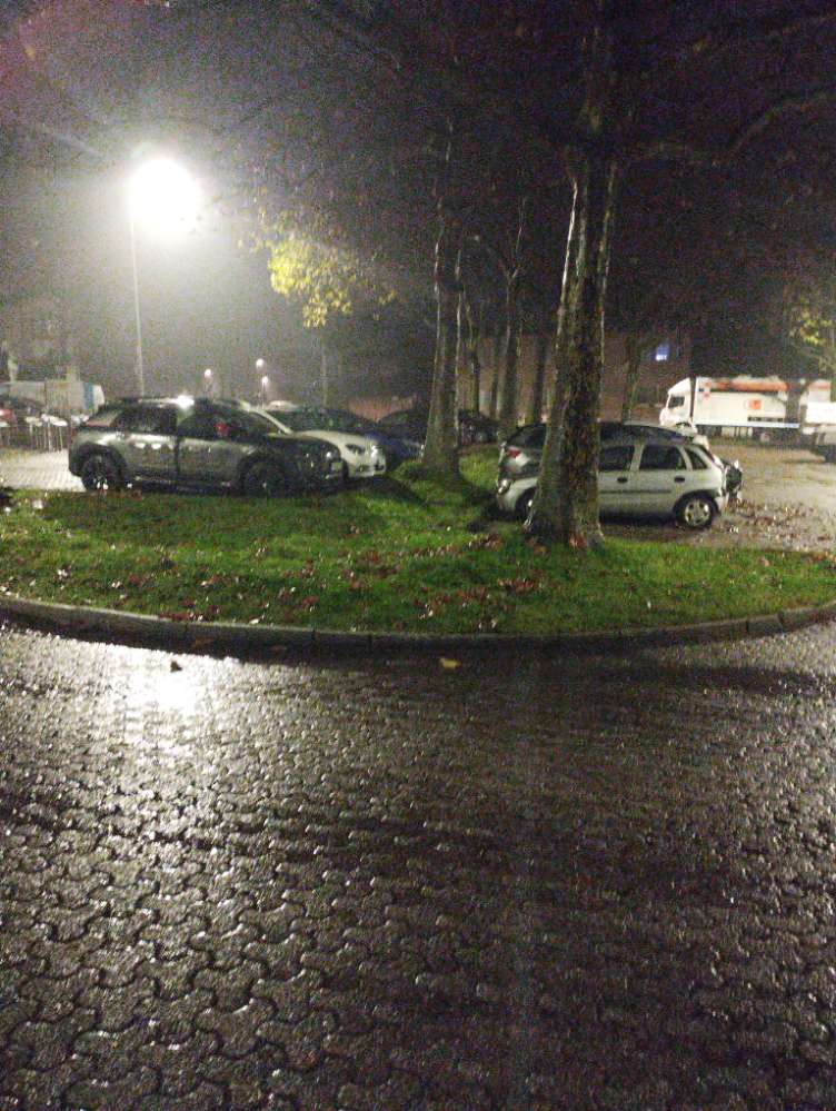 Giftköder-Giftköder am Parkplatz Am Poter-Profilbild