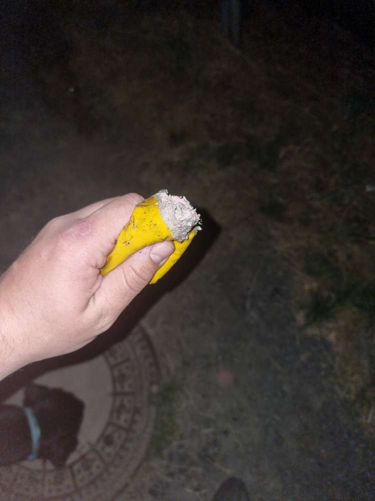 Giftköder-Ausgelegte Leberwurst-Profilbild
