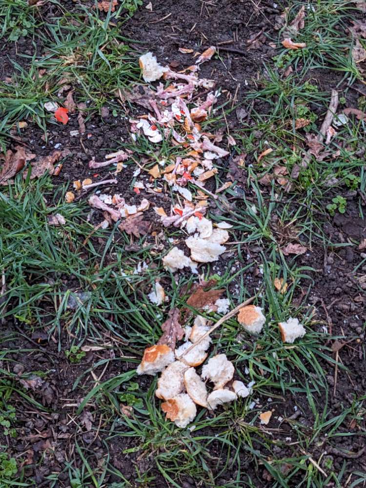 Giftköder-Hühnerknochen und Brötchenreste-Profilbild