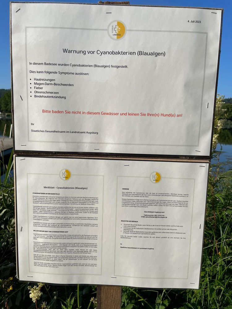 Giftköder-Blaualgen im Rothsee (Zusmarshausen)-Profilbild