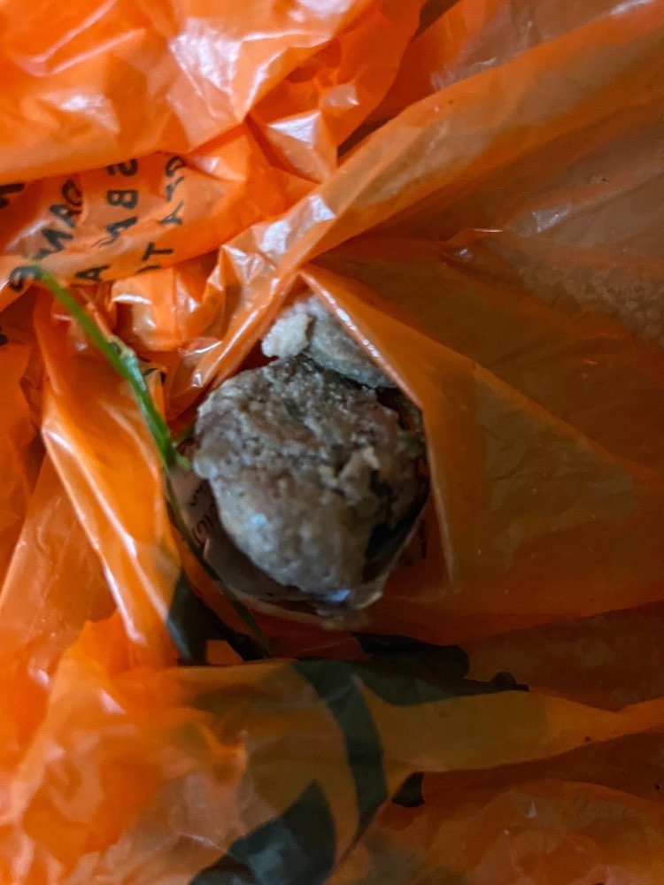 Giftköder-Fleischstücke im Gras-Profilbild