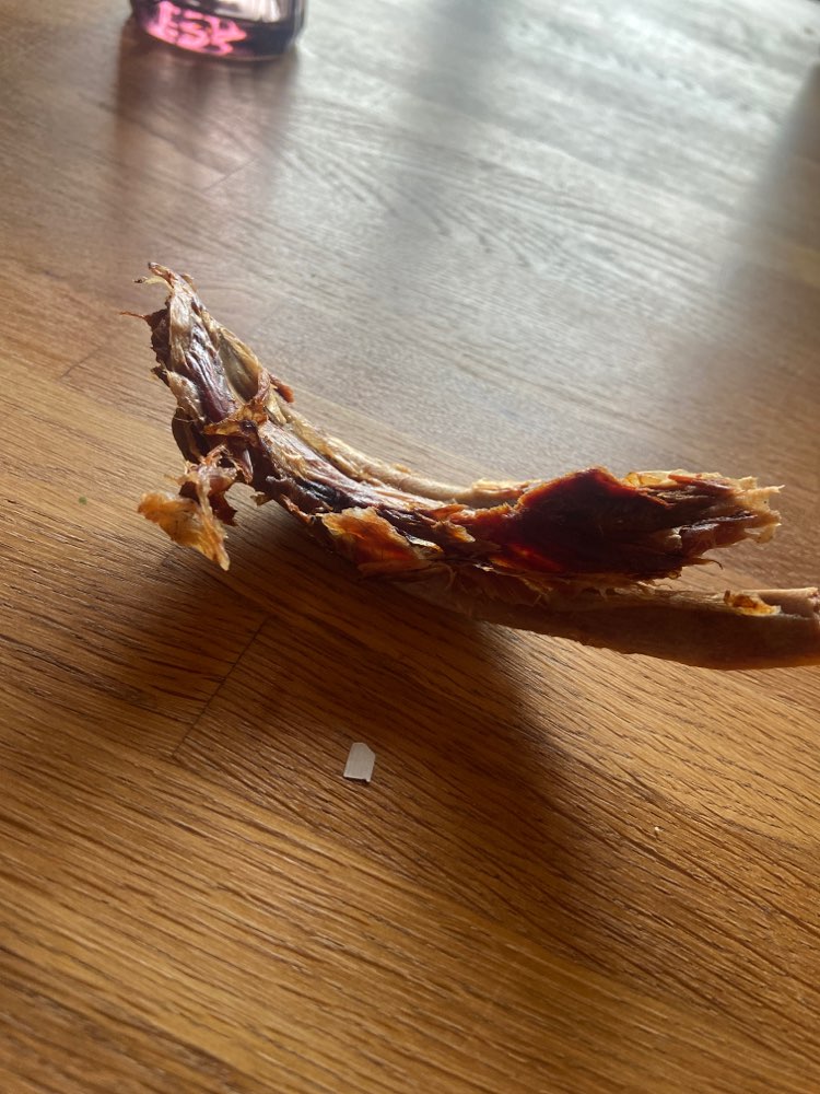 Giftköder-Knochen mit Rasierklinge-Profilbild