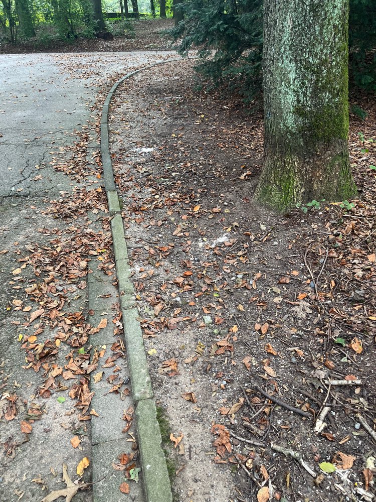 Giftköder-Weißes Pulver Sedanswiese Richtung Zoo-Profilbild