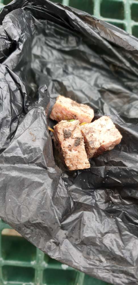 Giftköder-Verdacht evtl. Giftköder-Profilbild