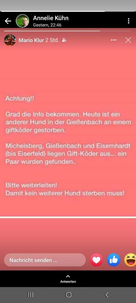 Giftköder-Giftköder-Profilbild